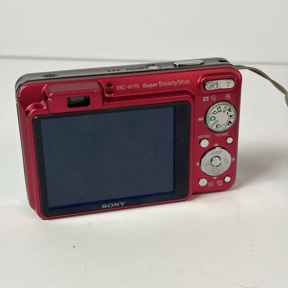 Sony Cyber-shot DSC-W170 10.1MP Digital Camera Red w/ Charger & Extra Battery